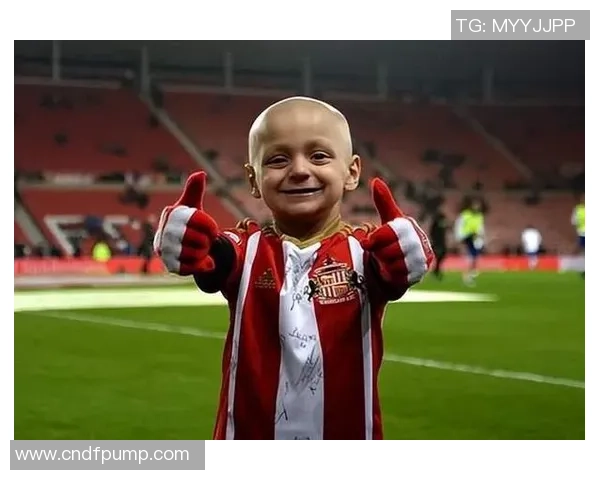 足球明星的光辉足迹与我心中的偶像梦想之旅