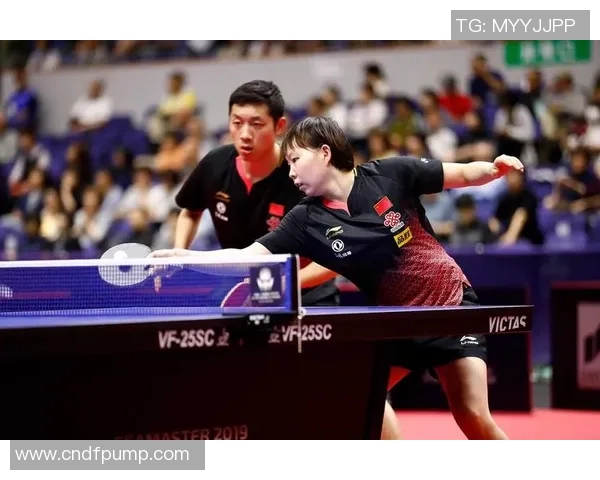 赛后复盘：西安羽毛球队与南京羽毛球队速度对决的精彩瞬间分析